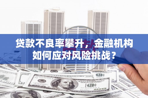玛家贷款不良率攀升，金融机构如何应对风险挑战？