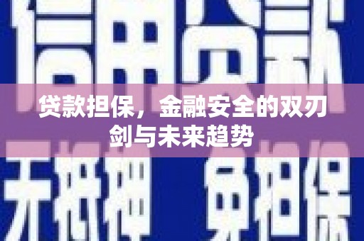 玛家贷款担保，金融安全的双刃剑与未来趋势