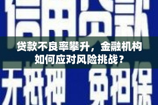 玛家贷款不良率攀升，金融机构如何应对风险挑战？