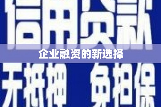 玛家企业融资的新选择