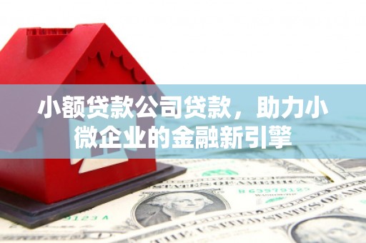 玛家小额贷款公司贷款，助力小微企业的金融新引擎