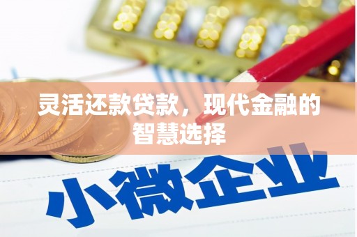 玛家灵活还款贷款，现代金融的智慧选择