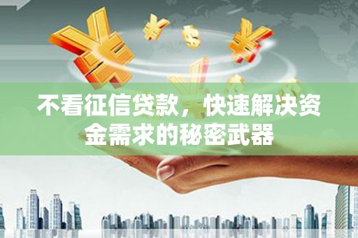 玛家不看征信贷款，快速解决资金需求的秘密武器