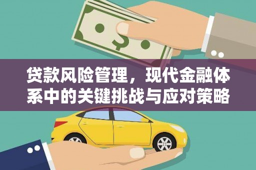 玛家贷款风险管理，现代金融体系中的关键挑战与应对策略