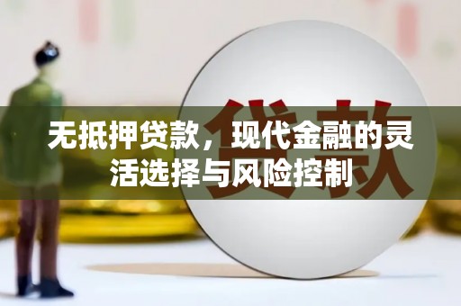 玛家无抵押贷款，现代金融的灵活选择与风险控制