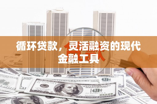 玛家循环贷款，灵活融资的现代金融工具