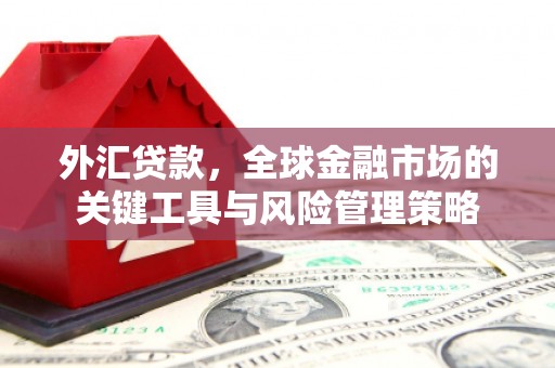 玛家外汇贷款，全球金融市场的关键工具与风险管理策略