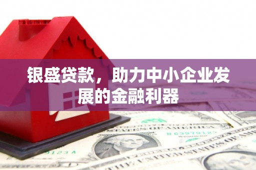 玛家银盛贷款，助力中小企业发展的金融利器