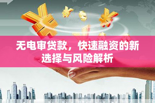玛家无电审贷款，快速融资的新选择与风险解析