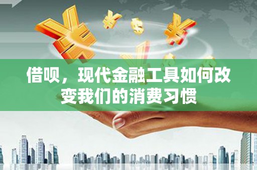 玛家借呗，现代金融工具如何改变我们的消费习惯
