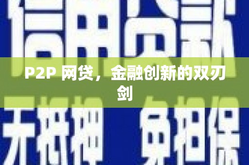 玛家P2P 网贷，金融创新的双刃剑