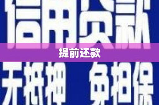 玛家提前还款