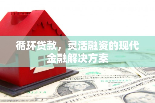 玛家循环贷款，灵活融资的现代金融解决方案
