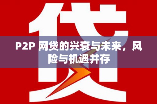 玛家P2P 网贷的兴衰与未来，风险与机遇并存