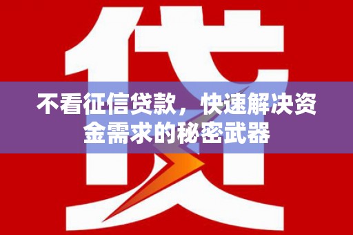 玛家不看征信贷款，快速解决资金需求的秘密武器