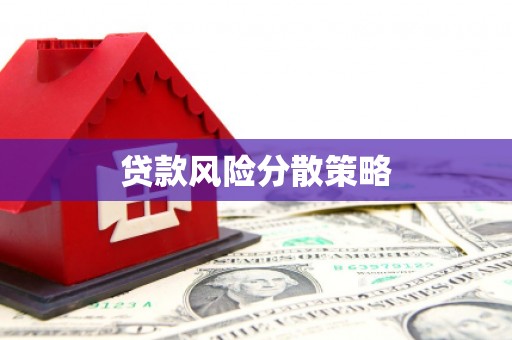 玛家贷款风险分散策略