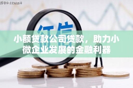 玛家小额贷款公司贷款，助力小微企业发展的金融利器