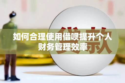 玛家如何合理使用借呗提升个人财务管理效率