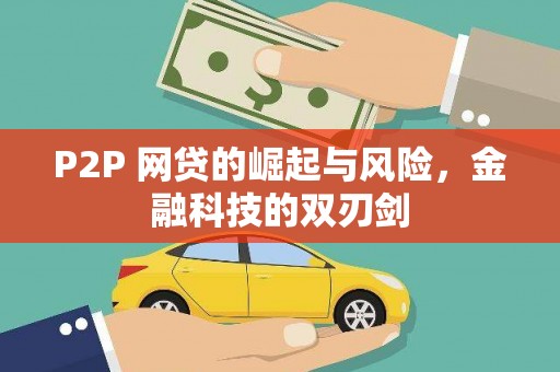 玛家P2P 网贷的崛起与风险，金融科技的双刃剑