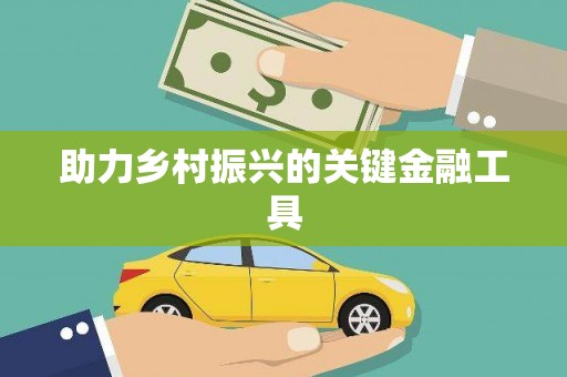 玛家助力乡村振兴的关键金融工具