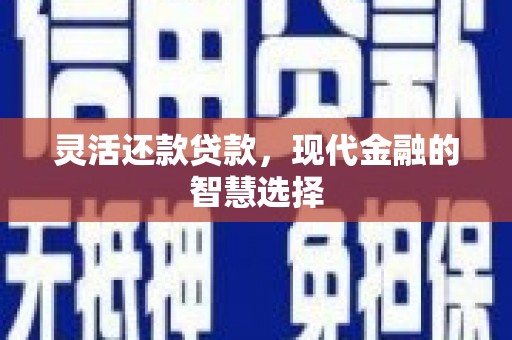 玛家灵活还款贷款，现代金融的智慧选择