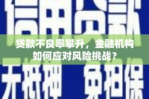 玛家贷款不良率攀升，金融机构如何应对风险挑战？