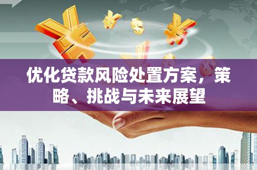 玛家优化贷款风险处置方案，策略、挑战与未来展望
