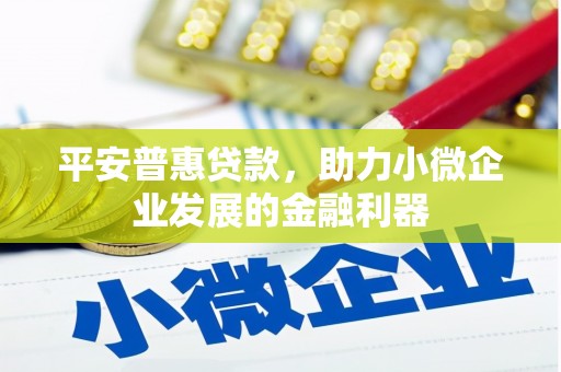 玛家平安普惠贷款，助力小微企业发展的金融利器