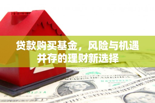 玛家贷款购买基金，风险与机遇并存的理财新选择