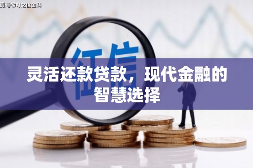 玛家灵活还款贷款，现代金融的智慧选择