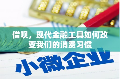 玛家借呗，现代金融工具如何改变我们的消费习惯