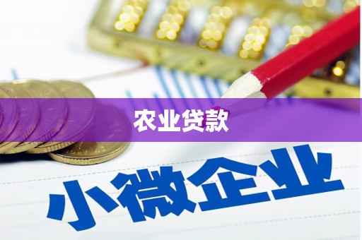 玛家农业贷款