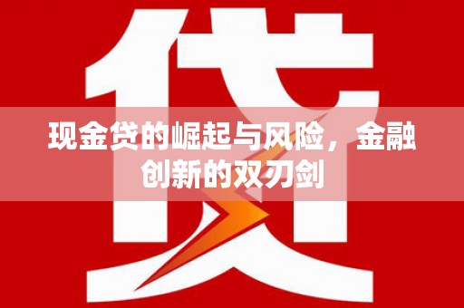 玛家现金贷的崛起与风险，金融创新的双刃剑