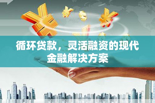 玛家循环贷款，灵活融资的现代金融解决方案