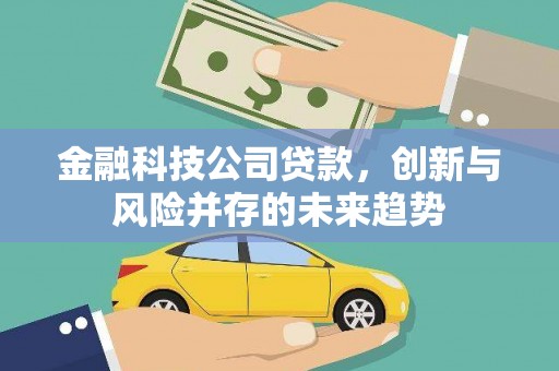 玛家金融科技公司贷款，创新与风险并存的未来趋势
