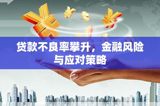 玛家贷款不良率攀升，金融风险与应对策略