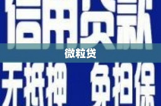 玛家微粒贷