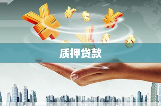 玛家质押贷款