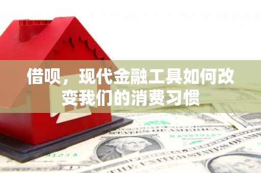 玛家借呗，现代金融工具如何改变我们的消费习惯