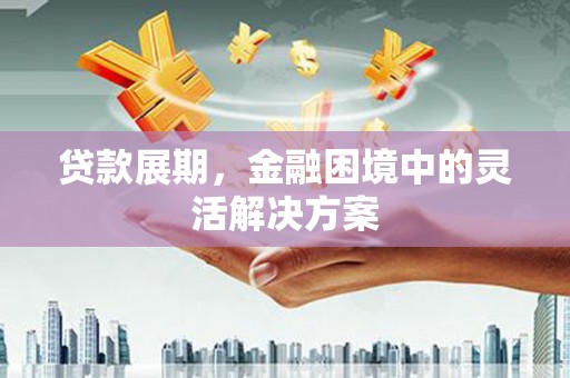 玛家贷款展期，金融困境中的灵活解决方案