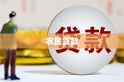 玛家农民贷款