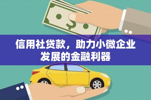 玛家信用社贷款，助力小微企业发展的金融利器