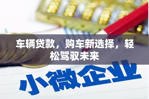 玛家车辆贷款，购车新选择，轻松驾驭未来
