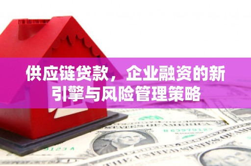 玛家供应链贷款，企业融资的新引擎与风险管理策略