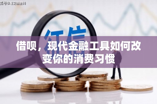 玛家借呗，现代金融工具如何改变你的消费习惯