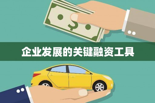 玛家企业发展的关键融资工具