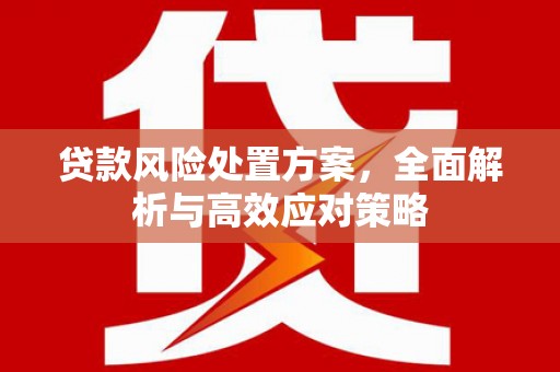 玛家贷款风险处置方案，全面解析与高效应对策略
