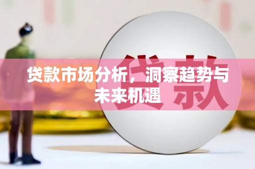 玛家贷款市场分析，洞察趋势与未来机遇