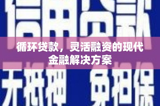玛家循环贷款，灵活融资的现代金融解决方案