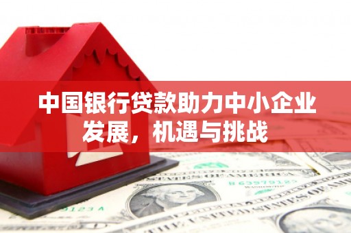 玛家中国银行贷款助力中小企业发展，机遇与挑战